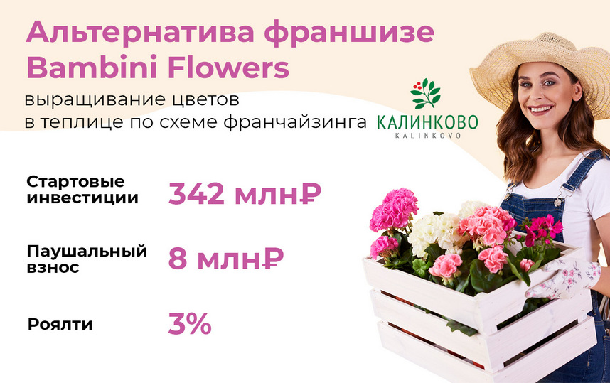 «Bambini flowers» — франшиза цветочного магазина: обзор и сравнение