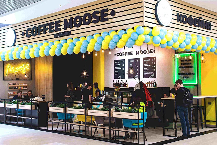 Франшиза Coffee Moose — кофейня с минимальным бюджетом открытия