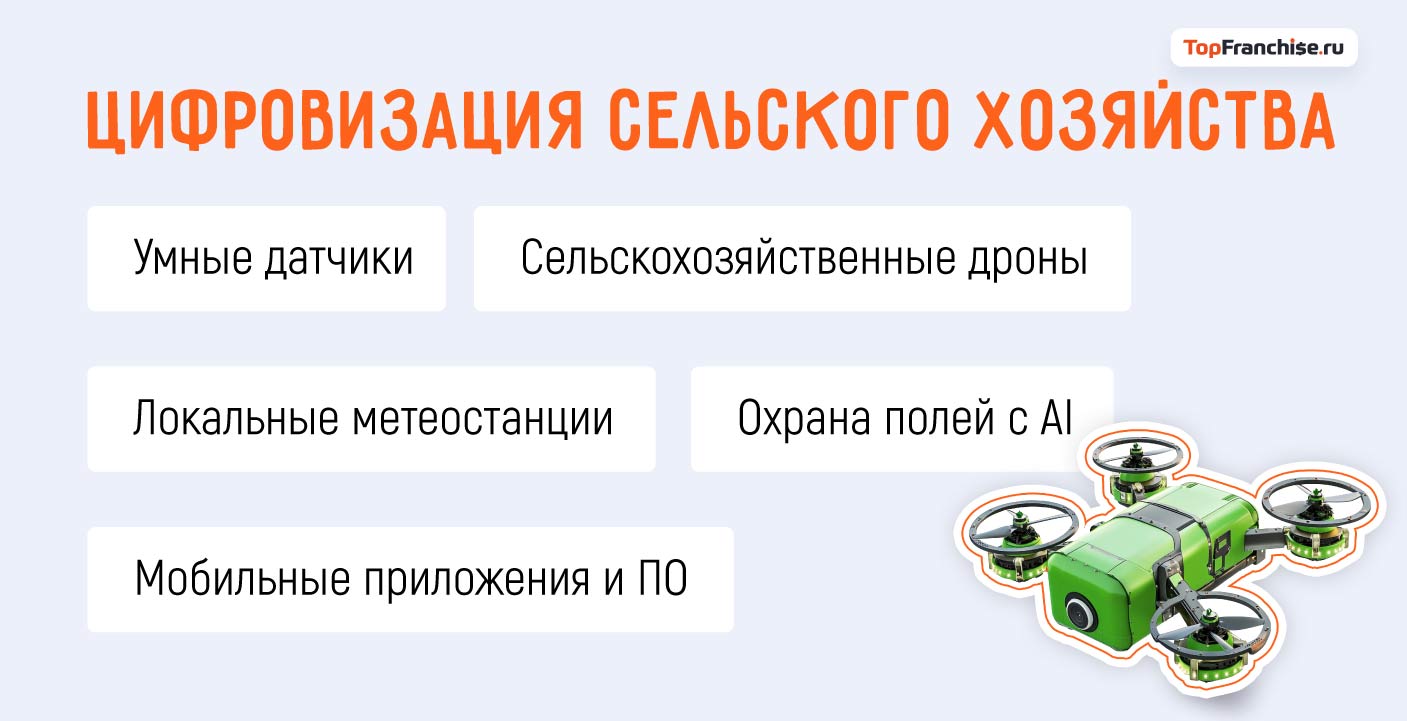 Топ идей малого бизнеса: какой бизнес прибылен