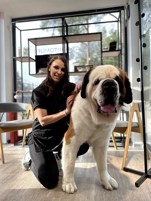 Франшиза Doggo: «Груминг — молодое и весьма перспективное направление, а с нами можно быстро захватить рынок»