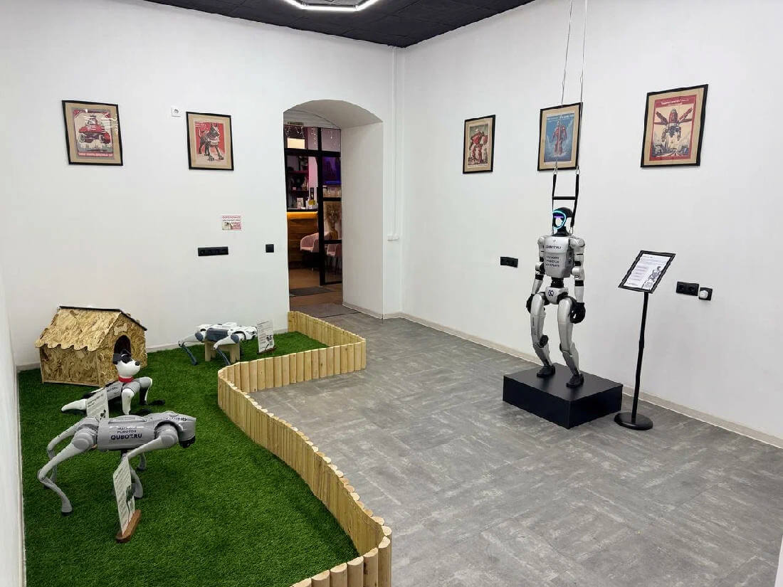 Франшиза магазина роботов Qubot