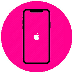 Франшиза Apple Universe 7