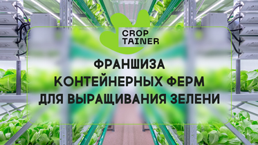 КРОПТЕЙНЕР