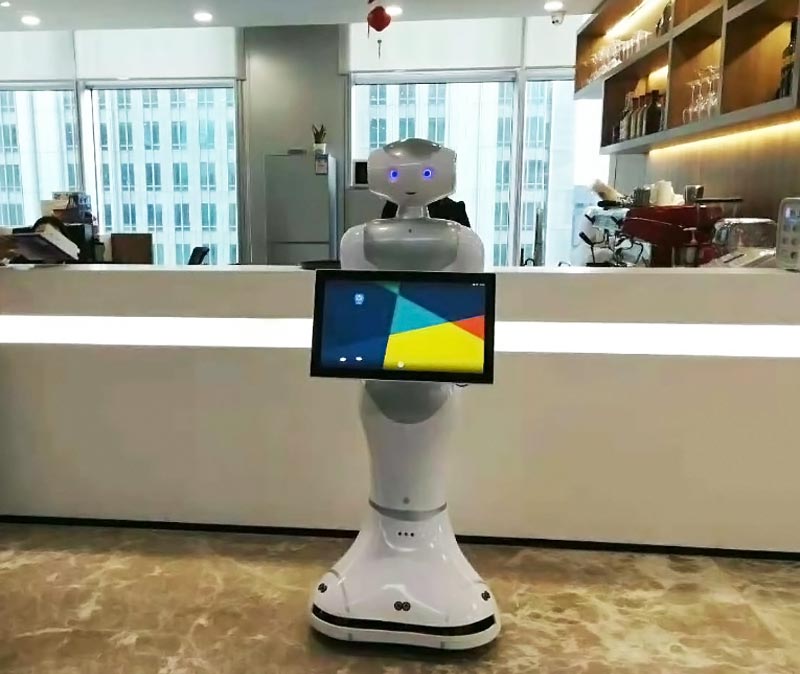 франшиза аренды роботов с ИИ ROBOMAX