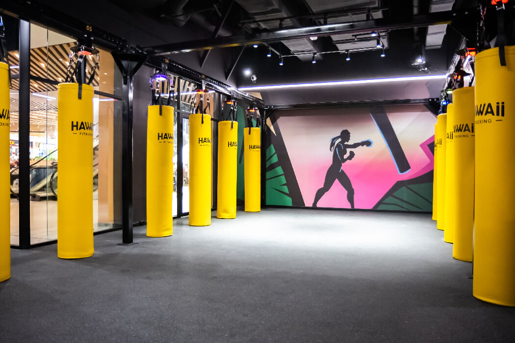 Франшиза фитнес-студии Hawaii Fitboxing