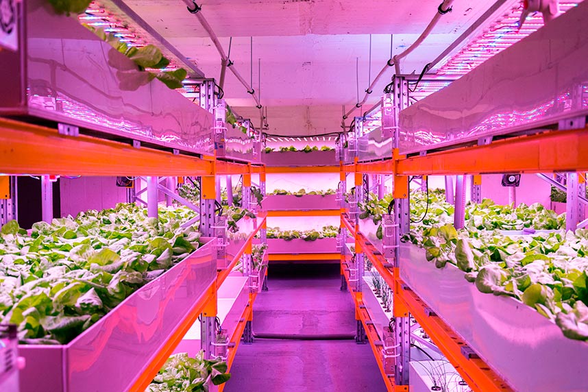 Бизнес на земле: обзор топовых аграрных франшиз