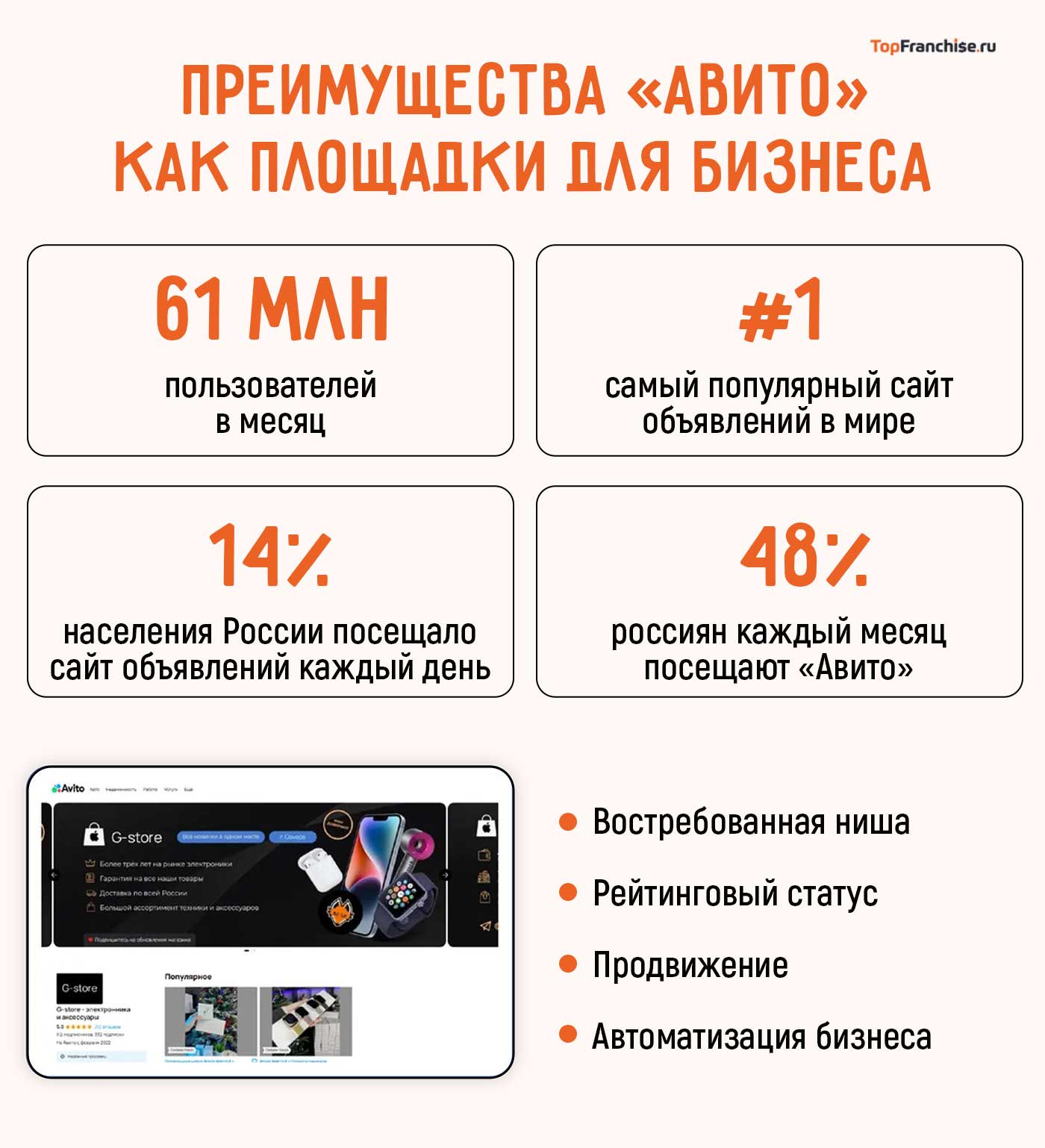 Франшиза готового онлайн-бизнеса на Авито YouBrand