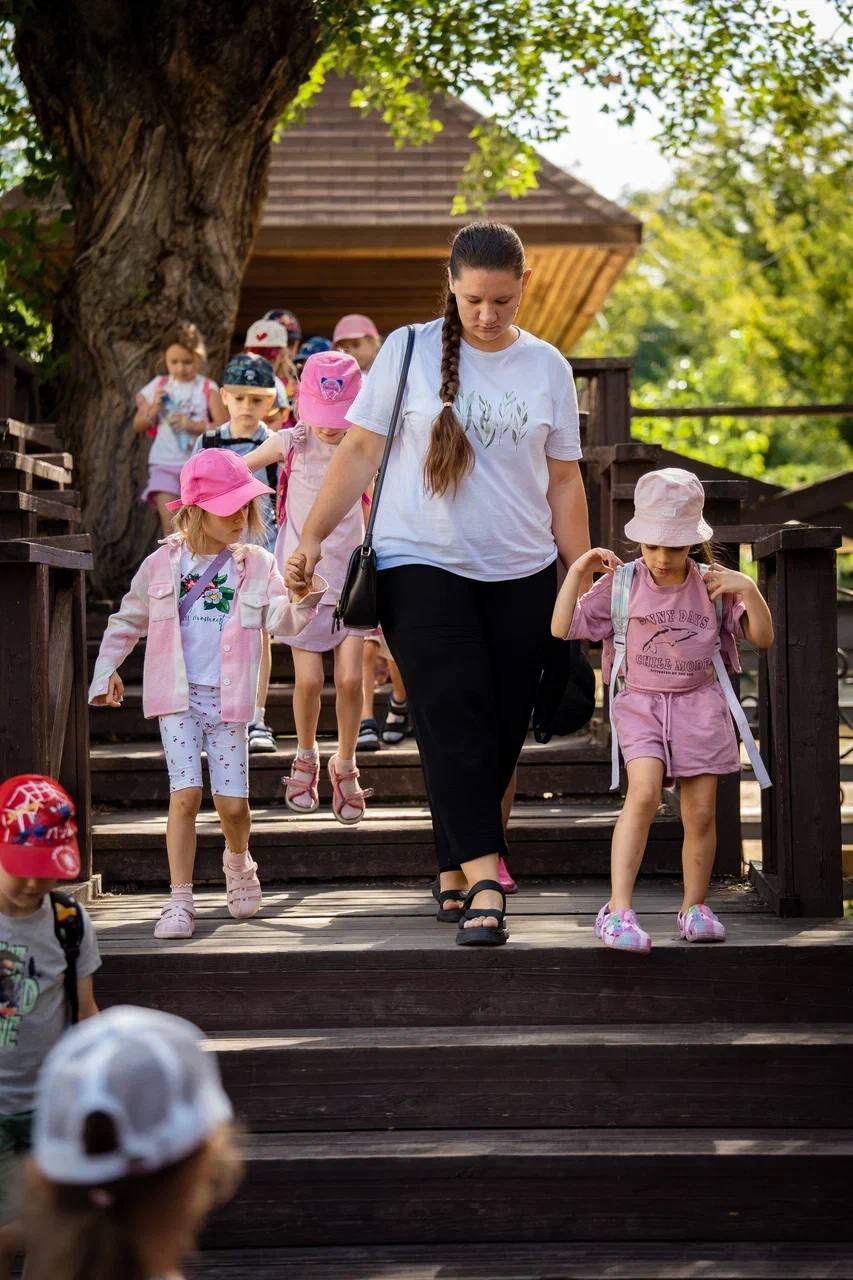 «Кот в Шляпе»: Почему мы выбрали сферу образования