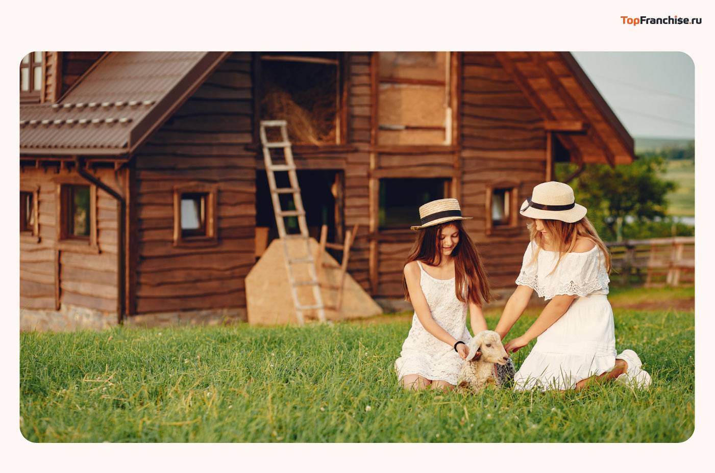 Перспективные идеи для бизнеса в 2026