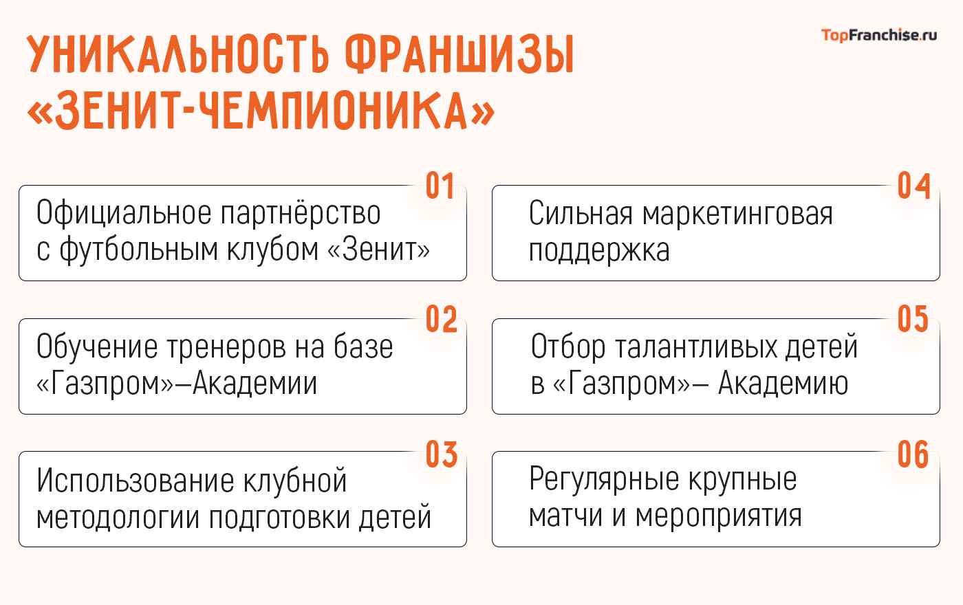 Франшиза Зенит-Чемпионика