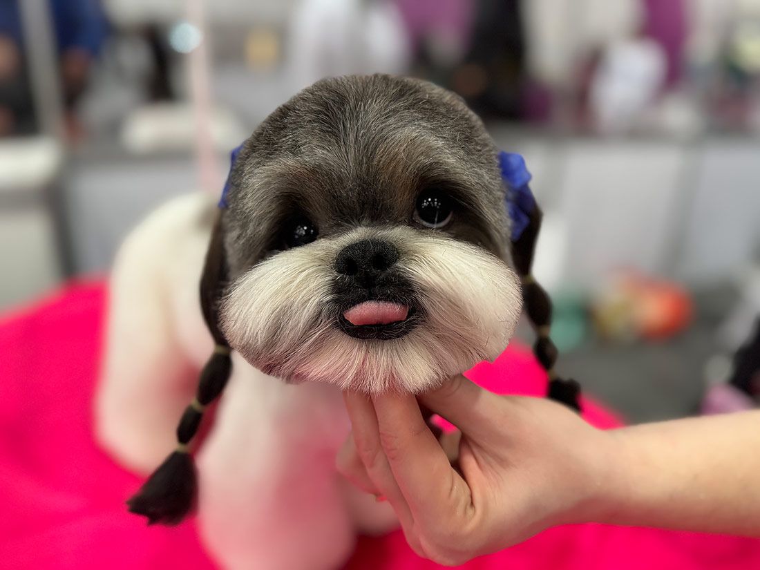 Российский бренд задает стандарты международного груминга