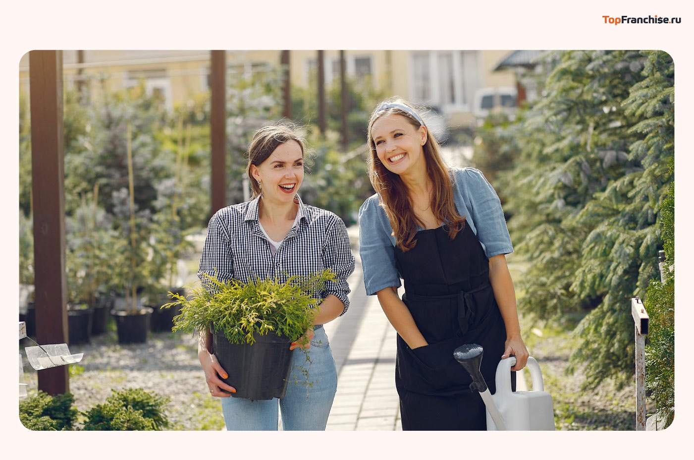 Бизнес на социальных услугах