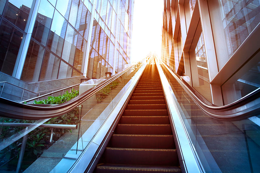 Топ-10 трендовых ниш франчайзинга в России