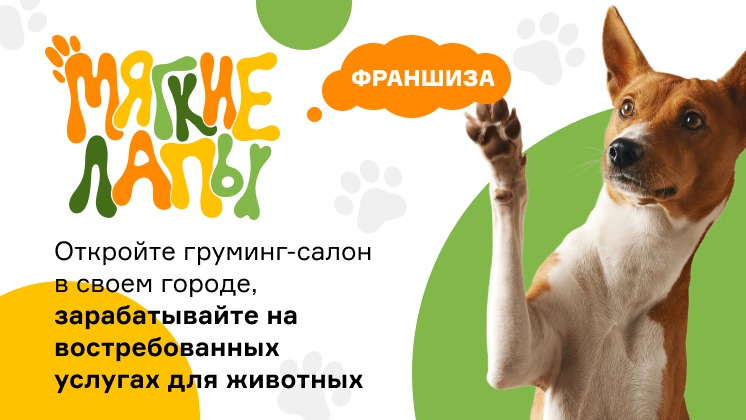 Мягкие лапы