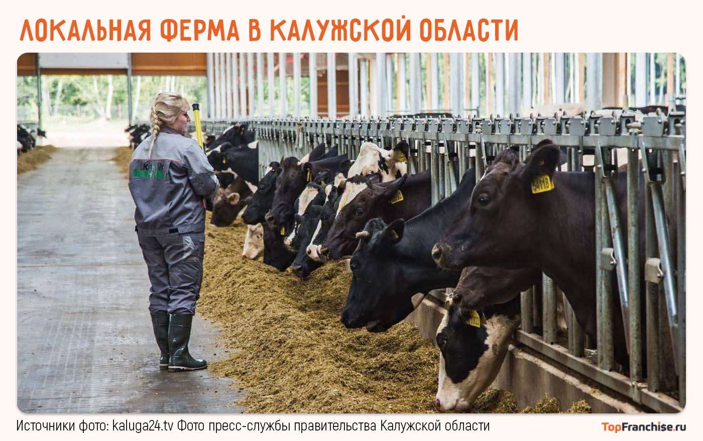 Предприниматель на локальной ферме в Калужской области