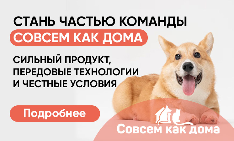 Совсем как дома