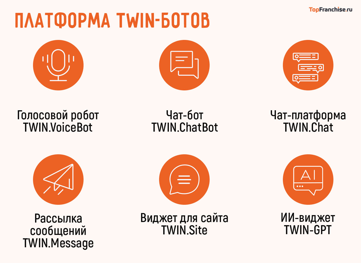 Франшиза Twin