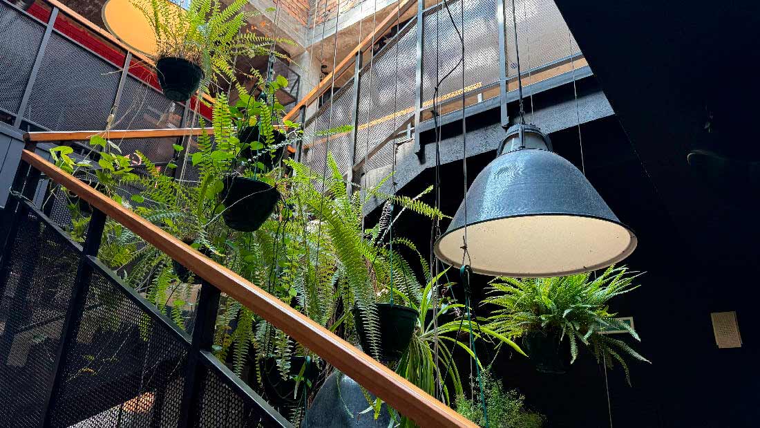 SAGA FAMILY — франшиза сети ресторанов