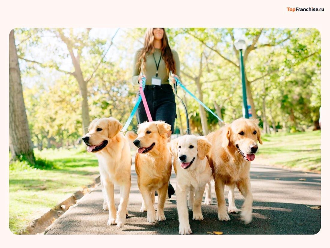 60 лучших бизнес-идей на дому в 2026 году — подборка проверенных направлений