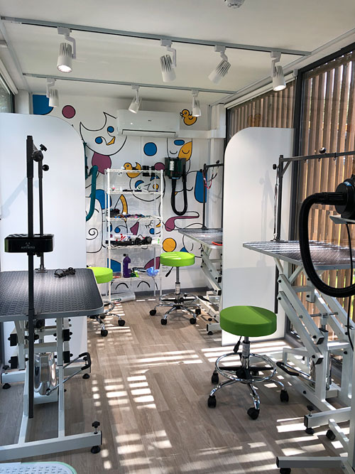 Франшиза Doggo: «Груминг — молодое и весьма перспективное направление, а с нами можно быстро захватить рынок»