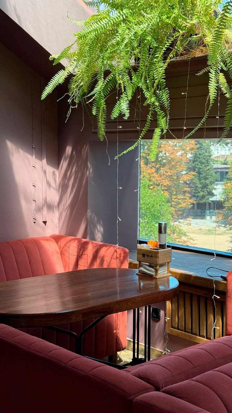 SAGA FAMILY — франшиза сети ресторанов