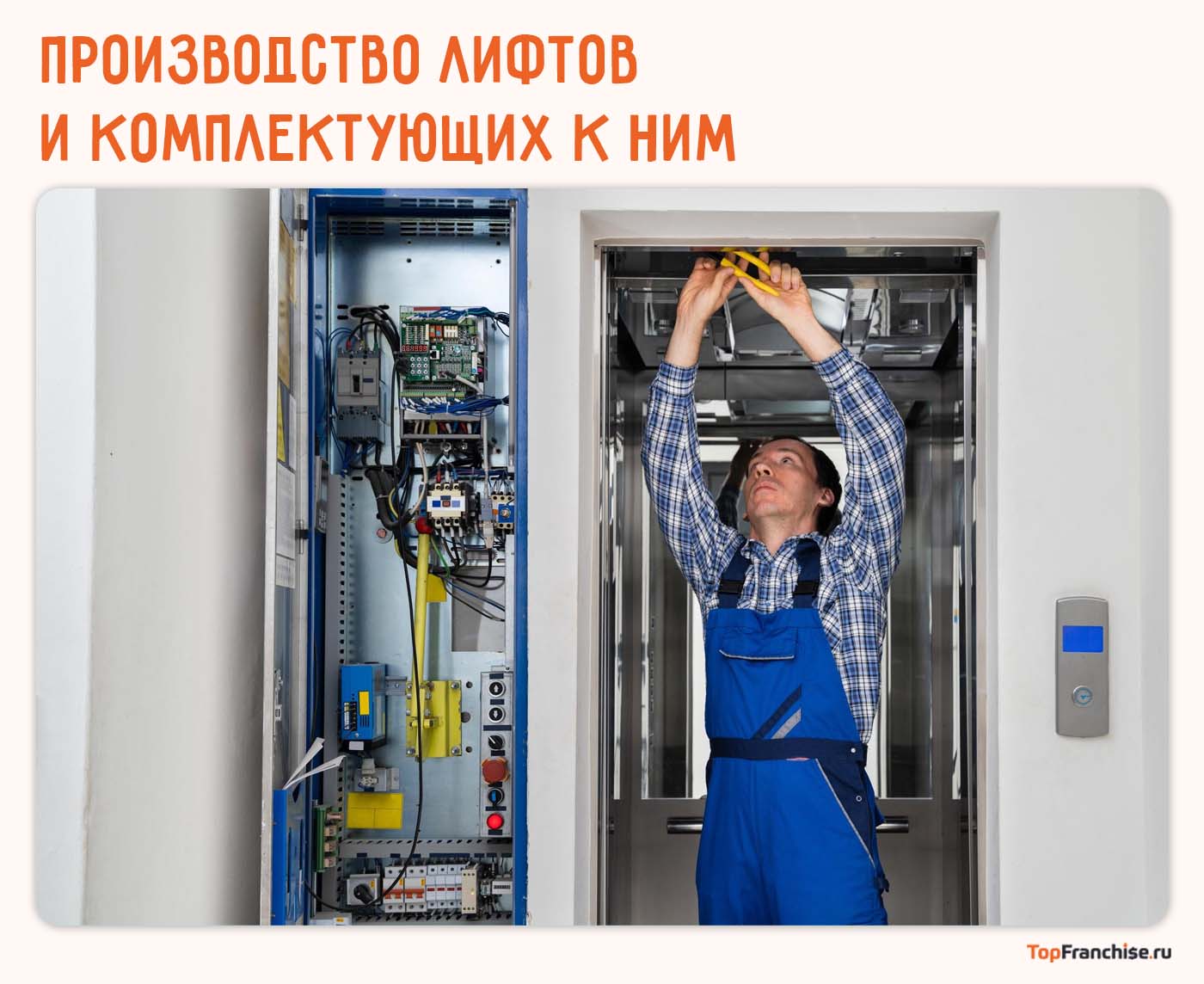 Франшизы производств в России