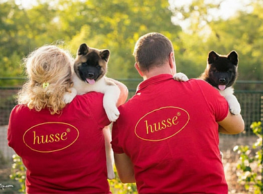Купить франшизу Husse - корма для домашних животных