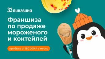 33 пингвина