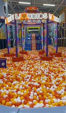 Франшиза детского игрового комплекса Lion Kids