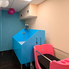 Франшиза груминг-салона «Бубочка»