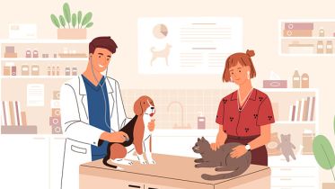 Как открыть свою ветеринарную клинику с нуля — бизнес-идея для тех, кто любит животных