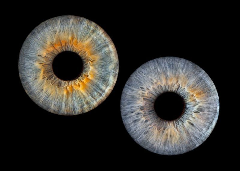 Франшиза фото радужки глаза «Твой взгляд»