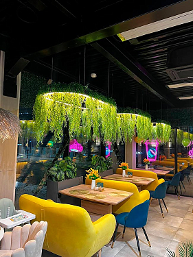 Франшиза кофейни с концепцией бара на острове Happy Island