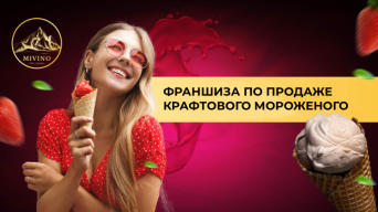 Франшиза MIVINO