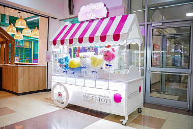 Франшиза магазина по изготовлению игрушек из сахарной ваты SWEET TOYS
