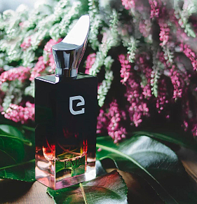 Франшиза фирменных парфюмерных бутиков и островков EMMI