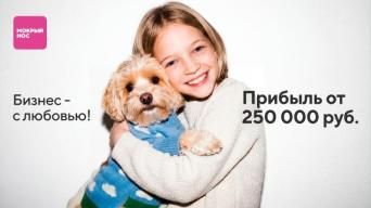 Франшиза Мокрый нос