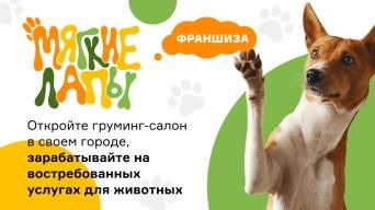 Мягкие лапы