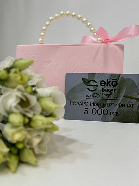 Франшиза сети салонов лазерной эпиляции Eko Laser