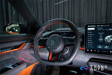 Франшиза автосалона и автосервиса электромобилей FRANK AUTO