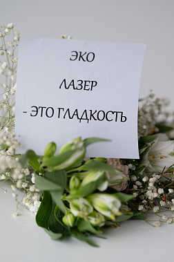 Франшиза сети салонов лазерной эпиляции Eko Laser