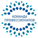логотип Команда профессионалов