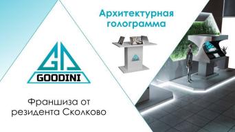 Франшиза GOODINI