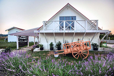 teaRa — франшиза премиальной натуральной косметики