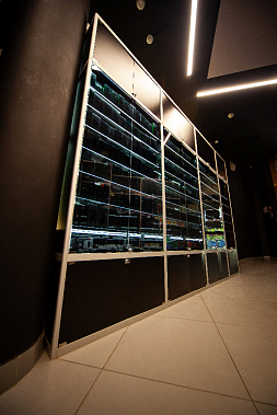 Франшиза федеральной сети табачных магазинов BlackTab