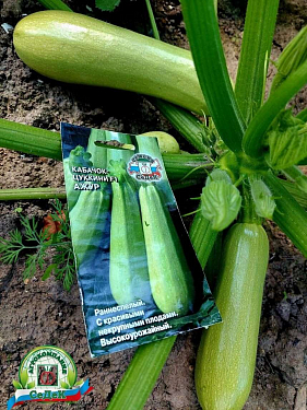 Франшиза федеральной сети магазинов семян «Урожайная грядка»