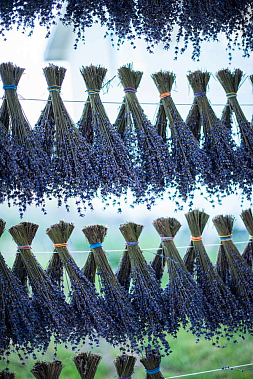 teaRa — франшиза премиальной натуральной косметики