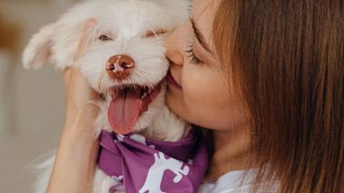 Франшиза магазина зоотоваров «Мокрый нос»