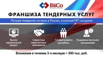 Группа компаний BiCo