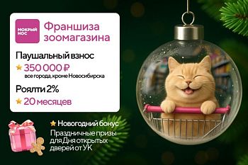 Франшиза «Мокрый нос»: Новый год — новые условия